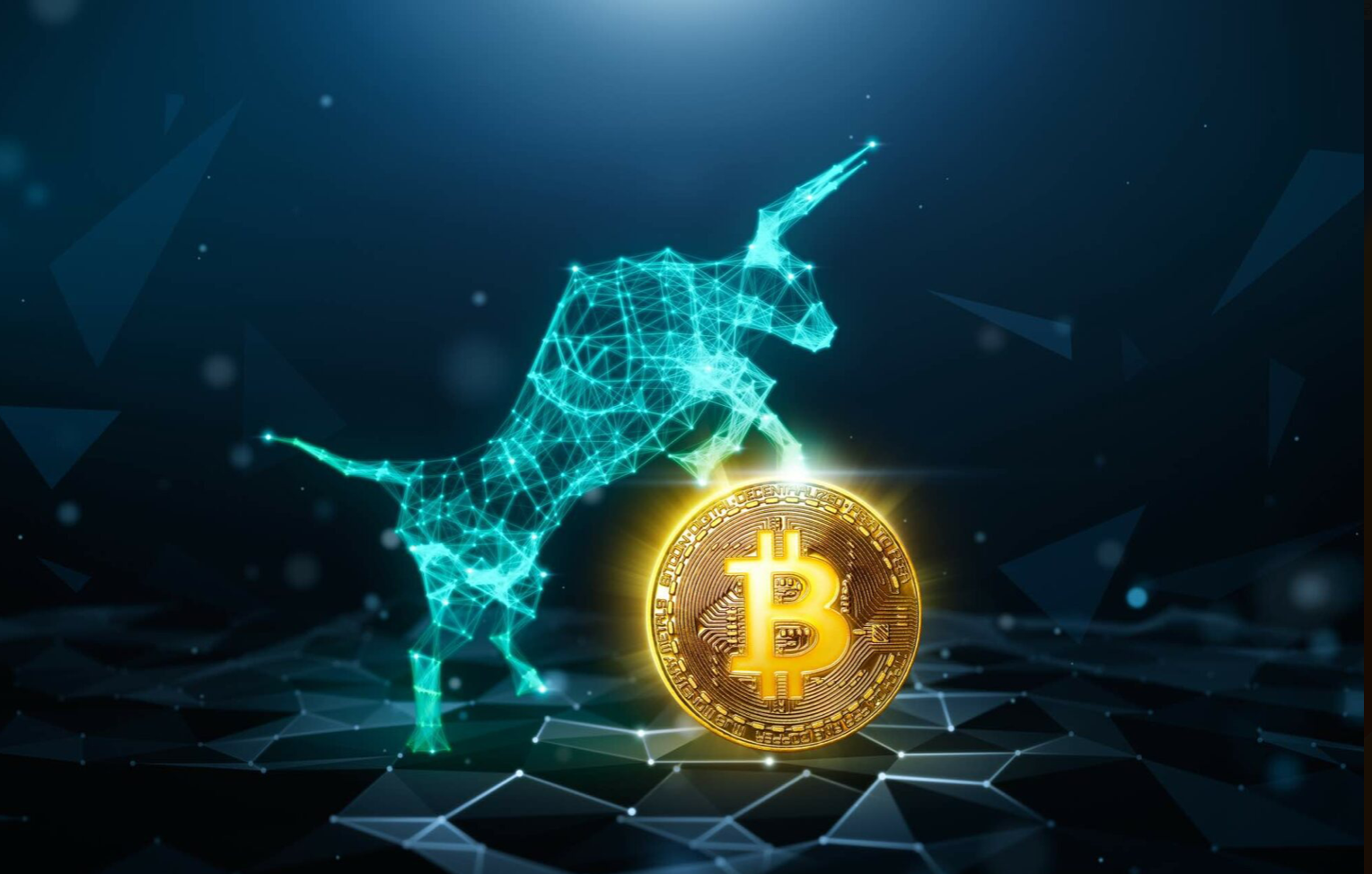 gallery-06 Capture Decran 2024 10 29 A 10.11.56